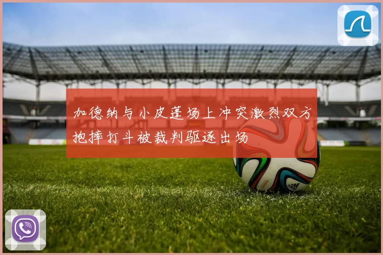 加德纳与小皮蓬场上冲突激烈双方抱摔打斗被裁判驱逐出场